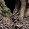 i scaled