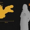 尺寸图