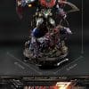 pmmz-01dxs_a11