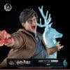 dbcd1305-997e-4f3b-bbff-e63232157f37 Tsume Harry Potter Ikigai Statue 1/6 Scale Harry Potter Limited Edition Collectible