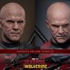 hot-toys-marvel-deadpool-battling-version-sixth-scale-figure-gallery-67dc54fd1f22f