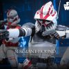 540698934_1197003099130367_3848596599002346646_n Sergeant Hound Sixth Scale Figure Star Wars Limited Collectible