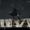 a20_UDMAL-01_21