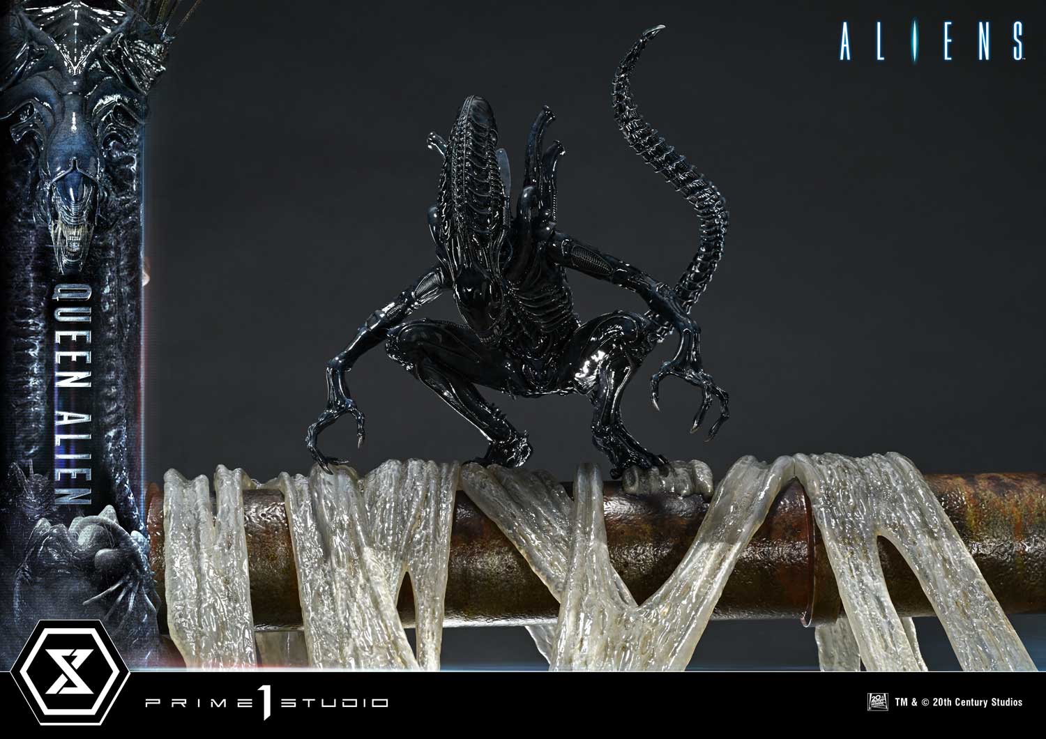 a20_UDMAL-01_21